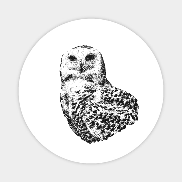 Snowy owl Magnet by Guardi